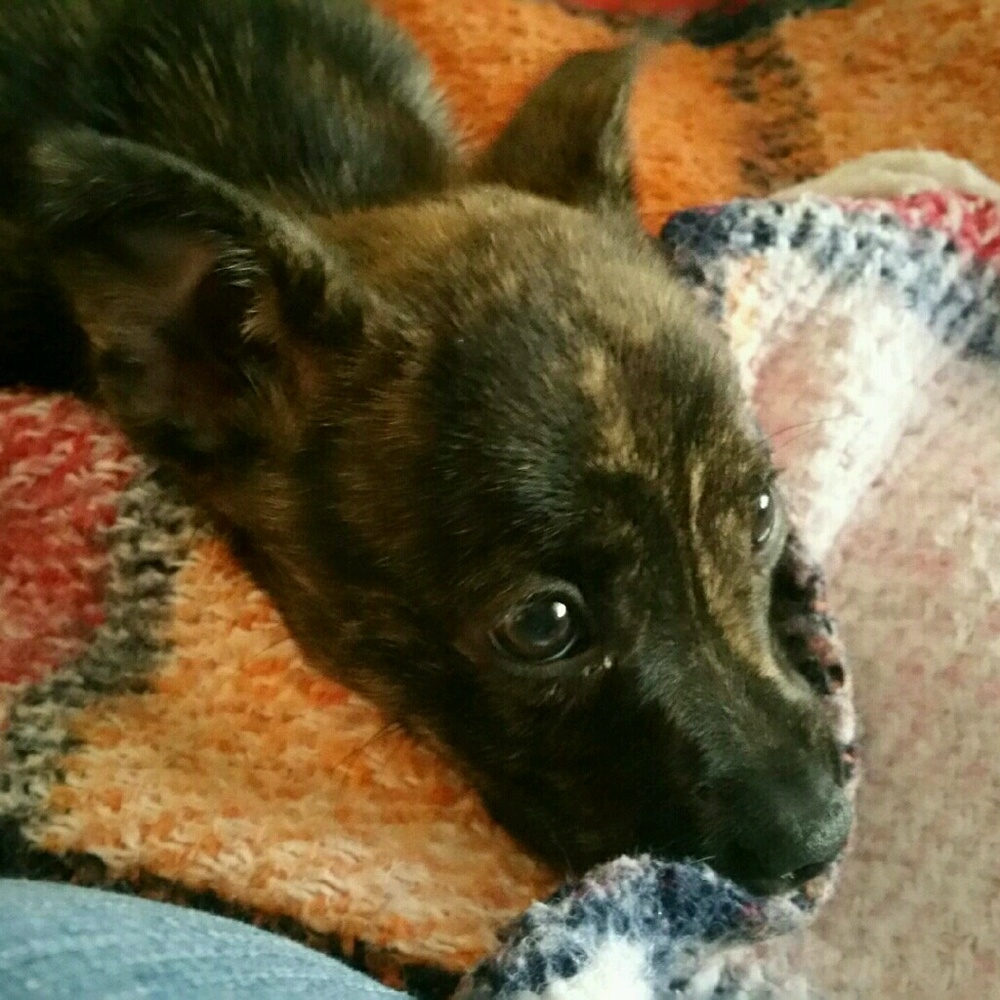 Meet your Posher, Anjila